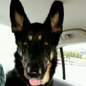 Meet your Posher, Eileen